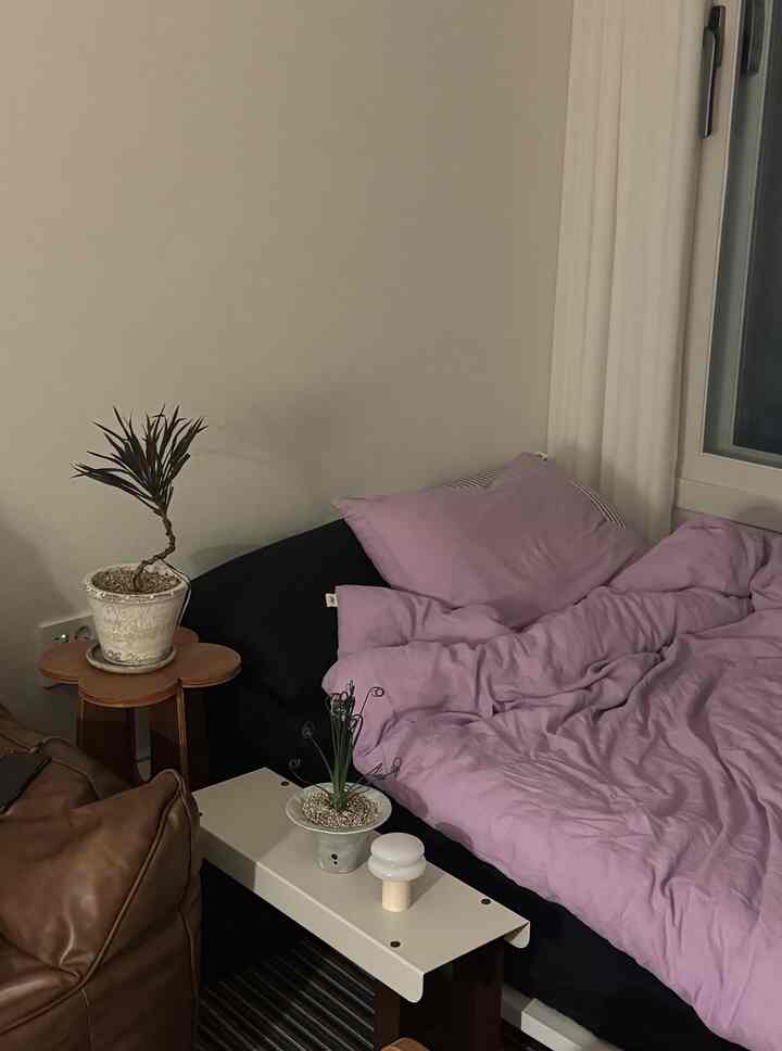 ブラックとラベンダーのベッド、ビーンバッグソファ、植物、ベンチが配置された居心地の良いゲストルーム兼書斎のインテリア