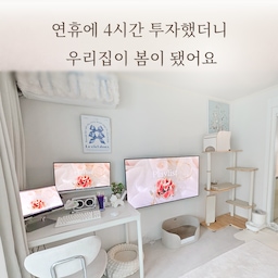 #연휴에뭐하집 
설연휴에 길게 쉬는 김에
그동안 미뤄둔 집 정리를 한 번에 해봤어요.
카페장 위에 쌓여 있던 것들 다 정리하고,
겨울 느낌 나던 것들 조금 치우고,
포스터랑 식물만 살짝 바꿨는데도 집 분위기가 꽤 달라졌더라고요.
청소기 돌리고 분리수거까지 싹 끝내고 나니
한 4시간은 훌쩍 간 것 같아요.
그래도 다 하고 나니까 속이 다 시원하네요 ㅎㅎ
