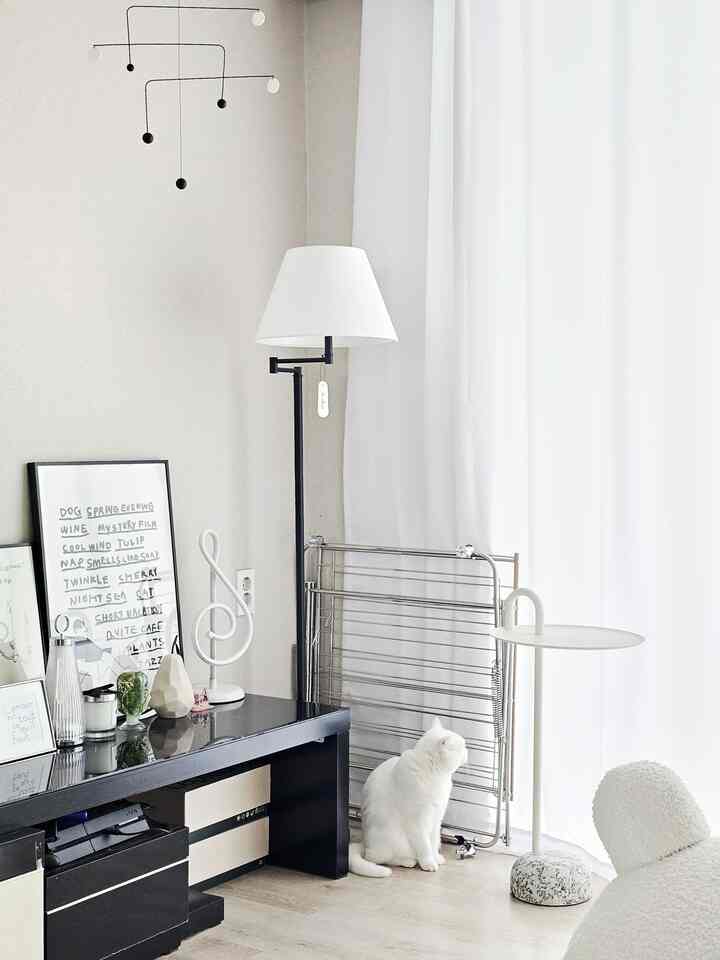 白と黒のミニマルな寝室、サイドテーブルとフロアランプが配置され、床に座る猫がいる雰囲気のあるインテリア