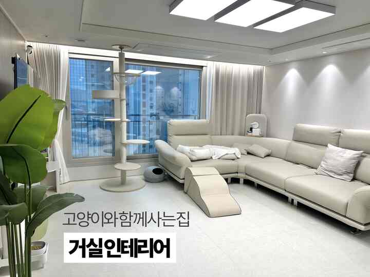 #겨울집로그아웃 

新生児が生まれる準備をしながら
ソファの配置を変更しました。
ソファの配置は1年新しい4-5回は変えると思います。
夫よろしくお願いします〜

主にリビングルームを育てると思います。
銅線が効率的に出る構図で
変更しました。

私の家は2匹の猫と一緒に住んでいる予備のお母さんお父さんです〜

#猫がいる家 #고양이랑사는집 #화이트인테리어 #화이트거실 #신혼부부거실 #신혼부부 #예비맘 #예비부부 #말띠맘 