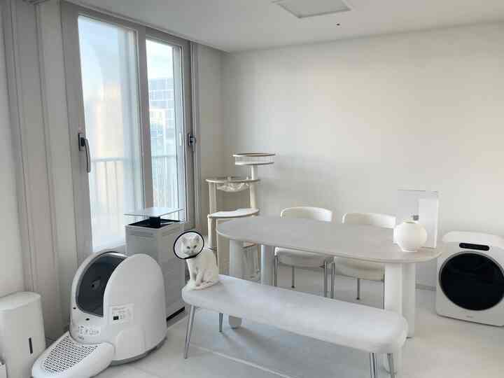 白を基調としたリビング、白いダイニングテーブルとベンチ、猫トイレとキャットタワーが配置された清潔でモダンな新婚のリビングインテリア