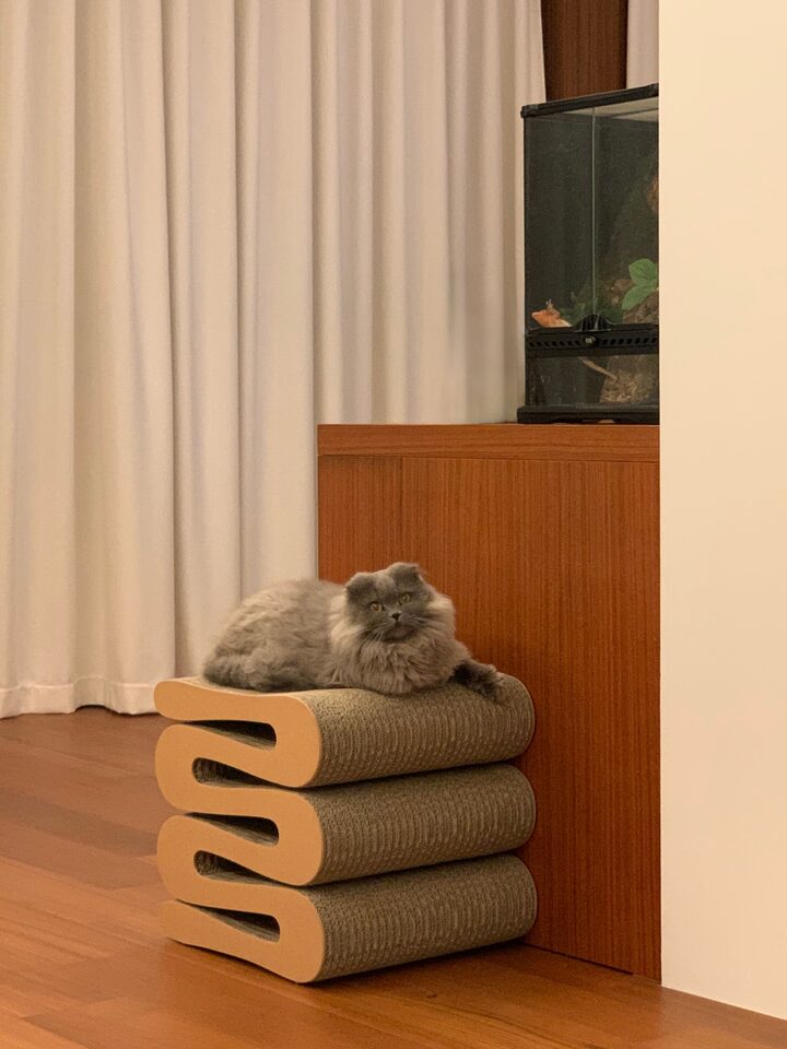 short form carousel card thumbnail