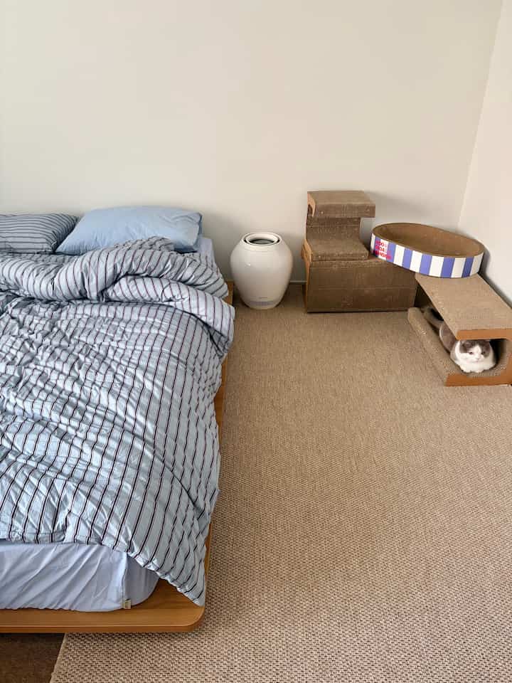 四季の暖かいオーディナント布団

オーディナントの発売を本当に満足して使用しました。
今回は純綿寝具も一緒に使ってみました。

冬の間に覆われた
本当に暖かくて暖かくて満足度が高かった布団です。

普通の布団は使ってみると
厚み感がますます減る場合もありますが、
この製品は厚み感が大きく消えず、よく維持される方だ。
耐久性の面でも大丈夫でした。

また、通常のサイズより少し大きいサイズ
覆った時、より安定感があり暖かく感じました🐱

おかげで、今冬は
もっとふさわしく過ごせたと思います。🛏️



＃コンスープ記録集＃猫布団＃ラグインテリア＃寝室ラグ＃ウッドベッド＃ウッドインテリア＃ビームプロジェクター 