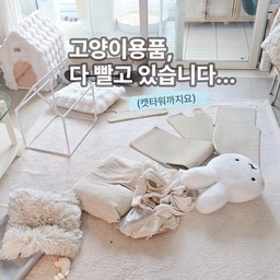 #오늘의우리집 은
고양이용품 세탁하는 날이에요.
저희 집은 스크래쳐 제외하고는
거의 다 세탁 가능한 제품들로 맞춰놔서
주기적으로 한 번씩 싹 돌려주고 있어요.
캣타워까지 세탁 가능한 걸로 골라둔 덕분에
관리할 때 확실히 편하더라구요.
#콘수프기록집 