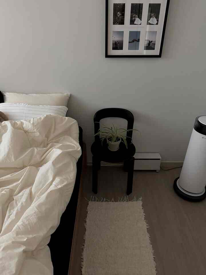 White and black toned bedroom featuring a bed with a black chair holding a plant beside it and a natural rug, creating a modern cozy atmosphere