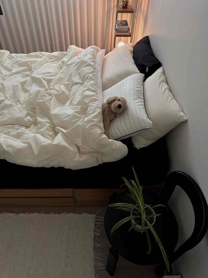 Ivory and black toned bedroom featuring a cozy bed and a plant, reflecting a natural modern style space