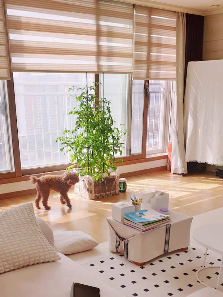 💚リビングルーム拡張を選択しながらベランダという空間は消えたがㅜ

リビングルームの窓辺にジャガイモやバジルを育ててみたり

窓際に降り注ぐ日差しを見ると、いつも「自分だけの小さなベランダ」を持ちたいという 
考えをいつもするよ〜


🍀日差しが降るベランダに植物を育てる 

小さなテーブルにコーヒー1杯とデザートを添えたホームカフェスペースを作ると 

とても良いと思います〜お部屋に小さなベランダのスペースがあります。

いつかそう飾ってみる計画をしています〜

＃ベランダ飾り#コンスープ 