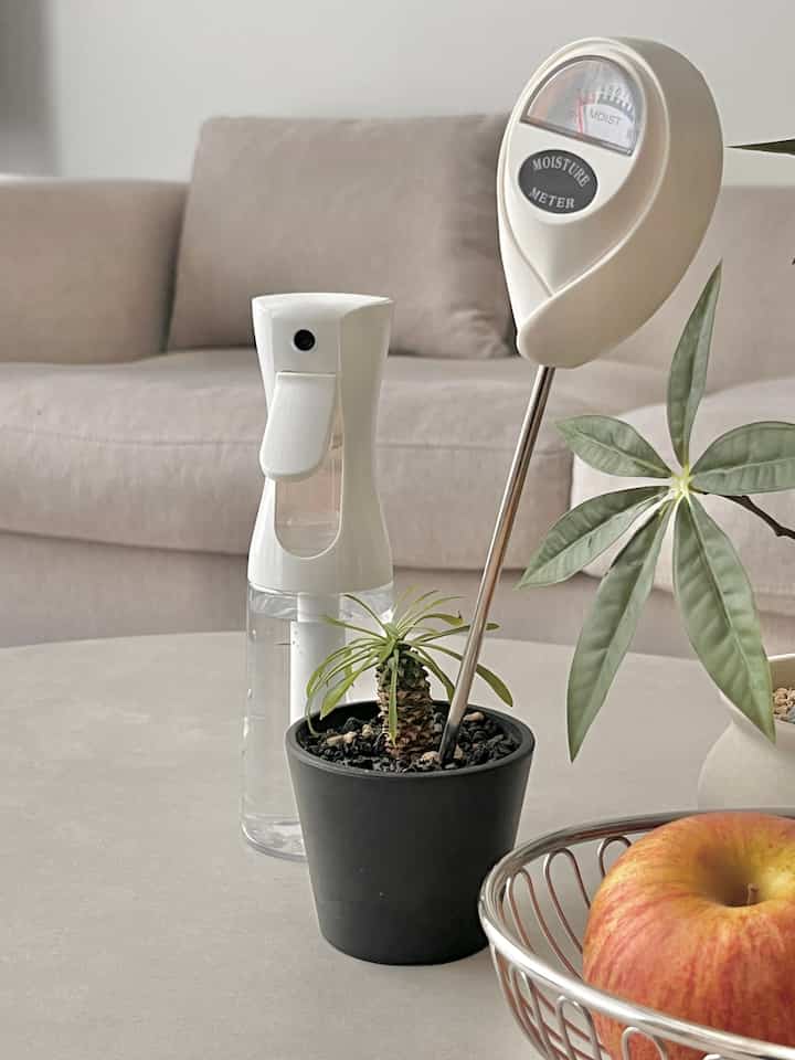 植物水いつ与えるか分かる🌟2千ウォン台の食餌🌟で食キラー集めれば！
たわごとも植物を育てることができます（｡•̀ᴗ-）

1️⃣品名：土壌水分測定器
🍃価格：2千ウォン台
植物の根元に差し込むと、インストルメントパネルが動きます。
- Dry: 水を与えなければならない
- Moist: ちょうど良い状態 
- Wet:過湿注意
差し込むだけで、使い方は直感的です。
水をあげる前に必ず確認してください。

2️⃣ダイソー圧縮式霧噴霧器 
       品番: 1048073 or
🍃価格：2千ウォン台
水の幹が強力であれば、植物は「あや😖」になります。 
名前のように滑らかに霧噴射される噴霧器です。
- 小さな植物
- 虚空(?)噴射植物
- 葉を拭くとき
私はダイソーで2000ウォンを買った。 
私は家に同じように見えたものを売ります2サイズ

3️⃣無線扇風機
🍃価格：3万ウォン台
扇風機薬モードで「過湿防止」する！
工具で買う製品何がわからない
似たようなものを見つけました。


＃記録チャレンジ＃植民地時代の必需品＃水分測定器＃土壌水分測定器＃噴霧器＃ウォーターリップ＃スプレー＃スプレー噴霧器＃植物管理＃植物のおすすめ＃リビングインテリア＃リビングソファおすすめ＃ソファテーブルおすすめ