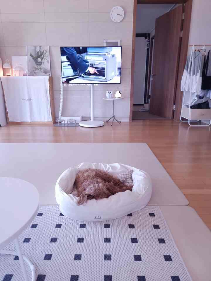 🍪日曜日の午後、居心地の良いリビングルームでクマが寝ています。

🤍蜂蜜眠るクマと平和な非常に普通の居心地の良い私たちの家のリビングルーム

写真に入れました〜

 眠れるクマを見つめるだけでも本当に癒しですよ🥰

2 ＃今日の家＃ハウススターグラム＃ホームスタイリング＃リビングインテリア＃日曜日の午後＃週末の日常＃毎日の記録#ホワイトインテリア