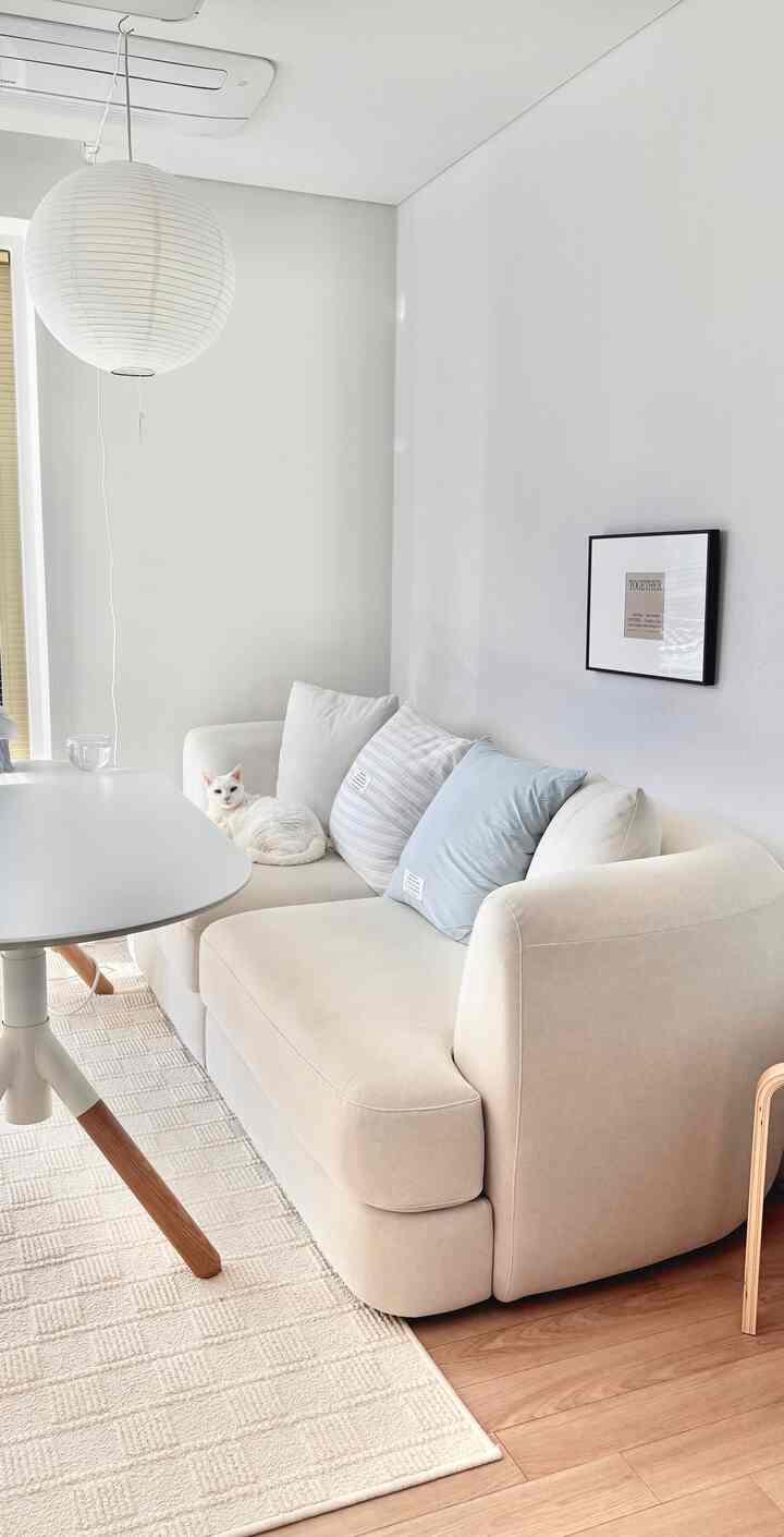 Modern living room in white and beige tones featuring a cat lounging on the sofa with clean minimal decor