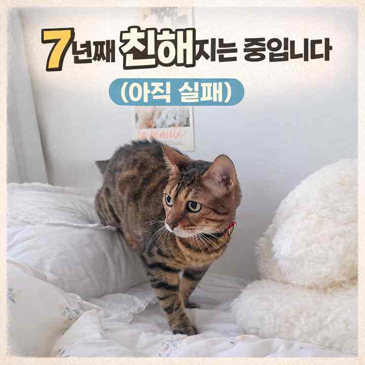 #오늘의우리집 #콘수프기록집 

一緒に産地は7年目ですが、
通りはまだそのままです。
まだ近づく方法を探しています。
