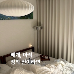 #오감리뷰 프로그램을 통해 제품을 제공받아 직접 사용하고 스타일링한 후기입니다
베개유목민의 공통적인 특징을 아세요? 열이면 열 "세상에 내가 안써본 베게는 없다"
저도 스쳐간 베개만 한 트럭은 되는거 같아요.
푹신한 베개는 경추라인 유지해주지 못하고, 메모리폼 베개는 머리(뒤통수)가 자연스럽게 놓이지 못하게 되더라구요. 호텔 베개는 어때요? 저는 여행가면 베개는 소파에 던져버리고 수건을 둘둘 말아서 잠들어요.
누웠을때 경추는 가볍게 받쳐주고, 머리는 자연스럽게 위치하게 되는 그런거 있잖아요. 베개 찾아서 삼만리했는데 드디어 만났어요.  베게유목민 여러분, 더이상 헤매지마세요. 이거예요 이거!
