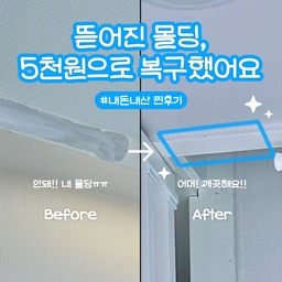 뜯어진 몰딩 셀프 복구하기🎨💙
자취하면서 커튼 설치하다가
천장형 스티커가 떨어지면서 몰딩 시트지도 같이 뜯어졌어요🥲
면적이 애매해서 수리 맡기기엔 부담스럽고,
몰딩 시트를 새로 붙이기엔 자신이 없어서
비슷한 컬러의 페인트를 구매해 여러 번 덧발라 복구해봤어요.
마지막으로 경계 부분은 다시 커튼 스티커를 부착해서 정리해주니
생각보다 티 안 나게 깔끔하게 마무리 완료✨
작은 하자 때문에 스트레스 받는 자취생분들,
애매한 몰딩 손상은 이렇게 셀프로 복구해 보는 것도 추천해요!
#콘스푸기록집 #인테리어노하우 #셀프인테리어 #자취꿀팁 #몰딩보수 #페인트인테리어 #오늘의집 #몰딩 #몰딩페인트 #자취 