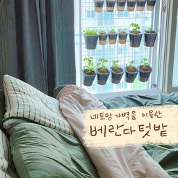 어떤 텃밭은 침대에서도 보인다 !
네트망 가벽을 이용한 베란다 텃밭 꾸미기
저희집은 앞베란다에 까사마루 네트망 파티션을 설치해
저면관수 화분을 걸어서 베란다텃밭을 조성했어요
덕분에 초록뷰와 먹거리를 일석이조로 얻고있어요 > <