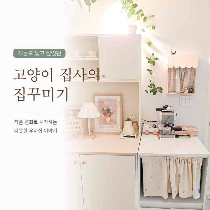 #인테리어노하우 #콘수프기록집

猫と一緒に暮らすと、植物は自然にあきらめることが多いんですよ。
私もしばらくは「私たちの家には緑は難しい」と思っていましたが、少しずつ安全な植物に入り始めて家の雰囲気がかなり変わりました。

今回は猫執事も比較的気軽に置くことができた植物たちと、小さな緑一つに変わった私たちの家空間を一緒に紹介してみようと思います。
ホワイトトーンの家によく似合っていて、インテリアの小物のように置くのにも良かったです。 
