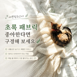 #예쁜템최고야  #콘수프기록집 
집에 포인트 컬러 하나쯤 두고 싶을 때 저는 초록을 가장 먼저 떠올려요.
화이트 인테리어에도 자연스럽게 어울리고, 계절이 바뀌어도 질리지 않더라고요.
이번에는 제가 실제로 사용 중인 초록 패브릭들을 모아봤어요.
주방 매트부터 커튼, 침구까지 공간마다 다른 분위기로 활용하고 있는 아이템들이에요🌿
