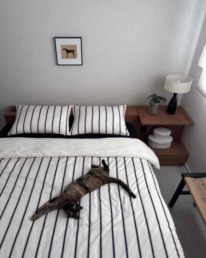 ＃製品提供|ニャンがいる家、寝室の蜂蜜の3つの🛏️
ニャンと執事の両方が満足し、使用中
寝室アイテム3つを紹介します。

居心地の良い安定した低床ベッド、
ペットのふわふわの心配を和らげる
パリスの寝具とパジャマのおかげで
もっと快適で快適に寝ていますよ😴

📎 #ダンスオンダーフロア
‎• 毛やほこりがよく付着しない生地のベディングとパジャマ
‎• 超高密度機能性素材でクールながらも柔らかい肌触り
‎• 布団カバーと綿洗いが可能
•カバーの内側のスナップボタンで簡単に固定

📎 #ワーム
‎• 暖かいウォルナットカラーと自然な木目の低床ベッドフレーム
• 低高さと伴侶墓も上り下り 快適な構造
‎• 穏やかな間接照明で居心地の良い寝室のムードを完成
•ヘッドボードに高級タイプの2口コンセントがあり、携帯電話の充電が可能

#猫 #ペット #猫猫 #猫猫家屋 #猫の家 #ニャン執事 #danceonthefloor #低床型ベッド #インフルエンサー #協賛 #原木ベッド #ベッド #ベディングセット #ストライプ寝具 #ストライプ #寝具セット #寝具カバー #布団カバー＃間接照明＃ニャンニャン＃猫の日常＃猫のモデル