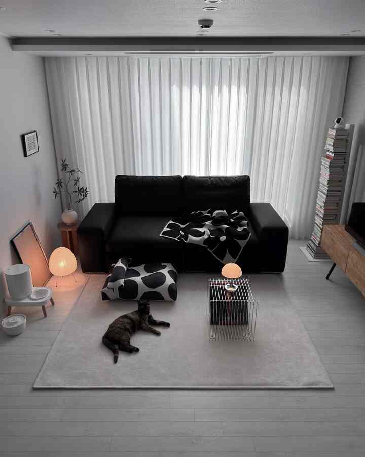 ＃製品提供|ウダダジャンプのためのラグ🐈‍⬛
ココがリビングで嵐の疾走しても滑らない理由！

ハチペットラグは高密度密着ノンスリップ構造です。
宇田田が好きなニャンも滑る心配はありません。

ココドラグが好きなのか
狩り遊びを始めるとラグの上に上がります
平らになって超集中モード！

柔らかくて優しい肌触りのおかげで
楽しく遊んでから、そのまま昼寝まですっぽり寝ました。

実際に数ヶ月間試してみて
ニャンも執事も本当に満足な製品です。

ペットの関節と歩行の健康を誰よりもよく知る
スルチェヒョン獣医師も出産した製品です。
信じて使えます。

ペットの大切な関節のために
ハチペットラグはぜひおすすめしたいアイテムですよ🤍

‎• 国内初の二重生活防水
‎• 高密度滑り止め密着パッド
‎• アレッジ FREE 安全素材
‎• 毛やほこりのない超短母
‎• 爪・歯にも強いしっかりした耐久性
‎• 自宅でも手軽なウォッシャブル管理

#ハチペット #hartypet #猫 #猫スター #猫の家 #猫家事家 #ラグおすすめ #カーペット #ペットテリア #ペトラグ #ソファ #クリオネ #今日の家 #ショパ #ブラック家具 #ブラックインテリア #ブラックソファ #ユニーク #アカリ #照明インテリア #akir #照明インテリア＃ハンティングプレイ＃猫のおもちゃ＃ドルリ＃チェアファクトリー