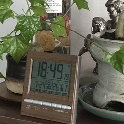 전자시계를 하나 사고 싶다고 생각했었는데 니토리에서 마음에 드는 시계를 발견했다. 시간, 날짜, 온도, 습도 등 많은 정보를 한눈에 확인할 수 있고 빈티지한 디자인이 마음에 들었다. 전부 일어로 되어있지만 작동법이 복잡하지 않아 쓸 만했다.