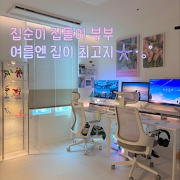 #집순이방꾸템
저는 원래 밖에 나가는걸 좋아했는데, 집돌이 신랑을 만나고 집순이가 되었어요🫣
특히나 나가면 너무 힘든 요즘같은 날씨에는 더더욱 집이 최고더라고요ㅎㅎ
집에 있는 시간이 늘어날수록 저희 부부는 pc룸에 있는 시간이 많아져요!
자주 들어가는 공간인만큼 더 손길이 가는거 아시죠?
신랑의 로망(피규어장식장)까지 담아 에쁘게 꾸며봤는데, 괜찮나요?🤍
저희 부부의 pc룸 방꾸템 몇가지 소개해 드릴게요!
#데스크룸 #신혼집 #신혼집꾸미기 #아파트 #신혼집인테리어 #데스크테리어 #컴퓨터방 #pc룸 #서재 #서재꾸미기 #파티션 #철제파티션 #가벽 #가벽파티션 #공간분리파티션 #마우스패드정리 #키보드선반 #마우스선반 #맞팔 #컴퓨터방꾸미기 #작은방꾸미기 #작은방인테리어 #led조명 #조명추천 #포스터추천 #데스크추천 #의자추천 