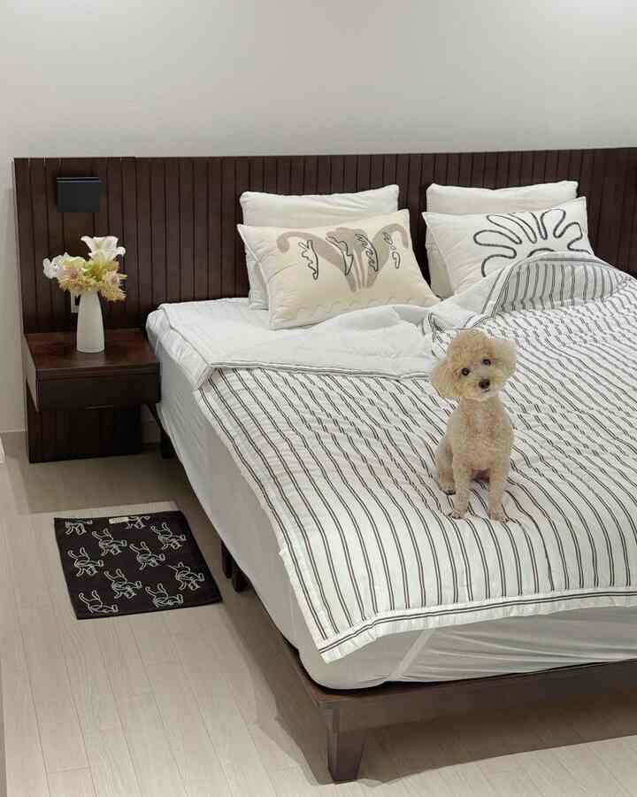 私にとって最も＃ナダウンスペースは一日の始まりと終わりを一緒にする寝室です🛏️

ブラウンラバーである私は自然にブラウンとウォールナットカラーを中心に空間を飾ることになりました。暖かい色感のおかげで、部屋に入ってくる瞬間、心までリラックスする感じで一番好きな空間になりました。

今夏はブラウンストライプパターンのシアサーカー掛け布団に変えてみましたが、
ウォールナットカラーの原木ベッドフレームと思った以上によく似合い、さらに満足ですよ🤎

何より新しい布団を一番気に入ったのは、我が家の子犬シル🐶🛏️🤎

#今日の私たちの家 #ftc26機 #今日の家ftc26期 #コンスープ記録集 #コンスープ記録 #寝室インテリア #ベッドフレーム #夏寝具 #シアサーカー布団 #発マットおすすめ #ベッドおすすめ #ベッドインテリア #小道具おすすめ #オブジェおすすめ #家飾り #インテリア

