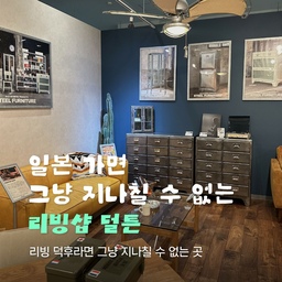 일본 여행에서 리빙숍 구경하는 걸 좋아한다면, 덜튼(@dulton_official)은 그냥 지나치기 어려운 곳이에요.🐛⭐️
