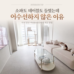 #거실스타일링 
처음 이 집을 봤을 때 거실은 꽤 넓게 비어 있었어요.
가구가 거의 없으니 공간 자체는 넓어 보였지만, 편하게 앉아 쉬거나 차 한잔할 만한 자리는 없었어요.
지금은 소파도 들어오고, 거실 한가운데에는 테이블도 있어요. 창가에는 캣타워를 두었고 커튼까지 달았으니 물건의 개수만 보면 오히려 전보다 많아졌어요.
그런데 신기하게도 지금이 더 정돈되어 보여요.
가구를 무조건 작게 고르거나 필요한 물건까지 없애기보다는 높이와 색을 맞추고, 바닥이 보이는 면적을 남기고, 시선을 막는 가구를 줄이는 것에 더 신경 썼어요.
제가 실제로 거실을 채우면서 어떤 걸 골랐고, 왜 이 조합이 답답하지 않았는지 하나씩 보여드릴게요.
