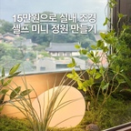 공간스타일링 피땀눈물 1탄, 실내 조경 셀프 DIY!!
셀프로 해서 100만원 ▶️ 15만원으로 해결했습니다 😂

