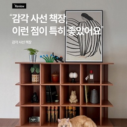 ”파티션 또는 세로로, 다양하게 사용할 예정!“
체험단 @semo_haus 님의 #사선책장 후기입니다📚
깊은 폭의 수납력은 기본,
단정한 포인트를 살리고 싶다면
디테일이 있는 수납 가구는 어때요?
시야를 가리지 않는 H800 낮은 높이에
시원한 개방감이 느껴지는 사이드 선반까지.
왼쪽, 오른쪽, 위, 아래
사선 라인을 정해진 방향 없이 자유롭게,
공간과 취향에 따라 돌려가며 사용해 보세요!
감각 사선 책장
• 2 Size｜W800, W1200
• 3 Colors｜화이트, 월넛, 오크
제품의 상세한 정보와 다양한 후기는
프로필 링크를 통해 만나보실 수 있습니다.
100% 국내 제작 가구 #트루베퍼니처 🏡
#낮은책장 #인테리어책장 #선반장 #선반인테리어 #책장인테리어 #거실책장 #거실낮은책장 #침실책장 #공간분리책장 #파티션책장 #홈카페장 #낮은선반 #거실인테리어 #주방인테리어 #홈카페인테리어 #카페인테리어 #반려동물과함께사는집 