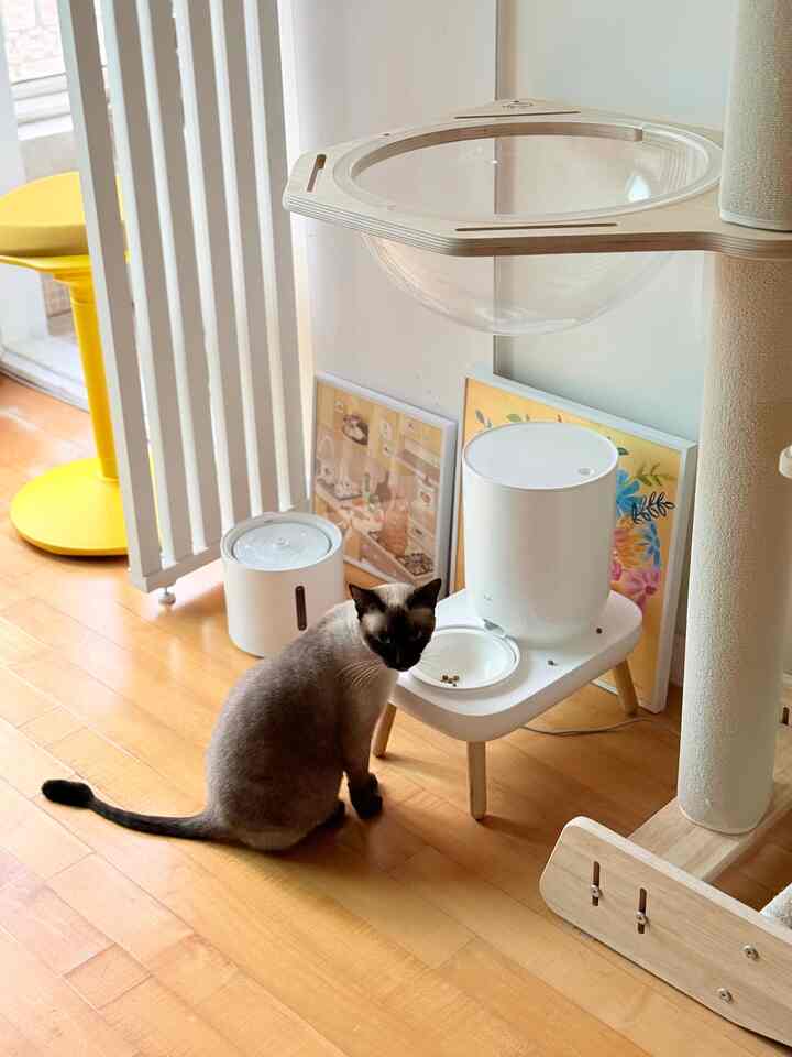 ＃かわいいテム

給食器の後ろに見える電線が隠れて気になって額縁で軽く隠しました。
電線は隠し、ニャンがダイニングエリアには小さな絵一点。 
このように整理すると、はるかにきれいに見えます。 🤍🐈

＃猫の家の家＃コンスープ記録屋＃メイド＃ホームカフェ＃猫の家事＃ホワイトインテリア＃家のインテリア＃木のインテリア＃リビングルームのインテリア＃ペットテリア＃セルフインテリア＃小さな家の装飾＃家の装飾＃カラーインテリア＃リビングキッチンインテリア#ビルドインテリア 