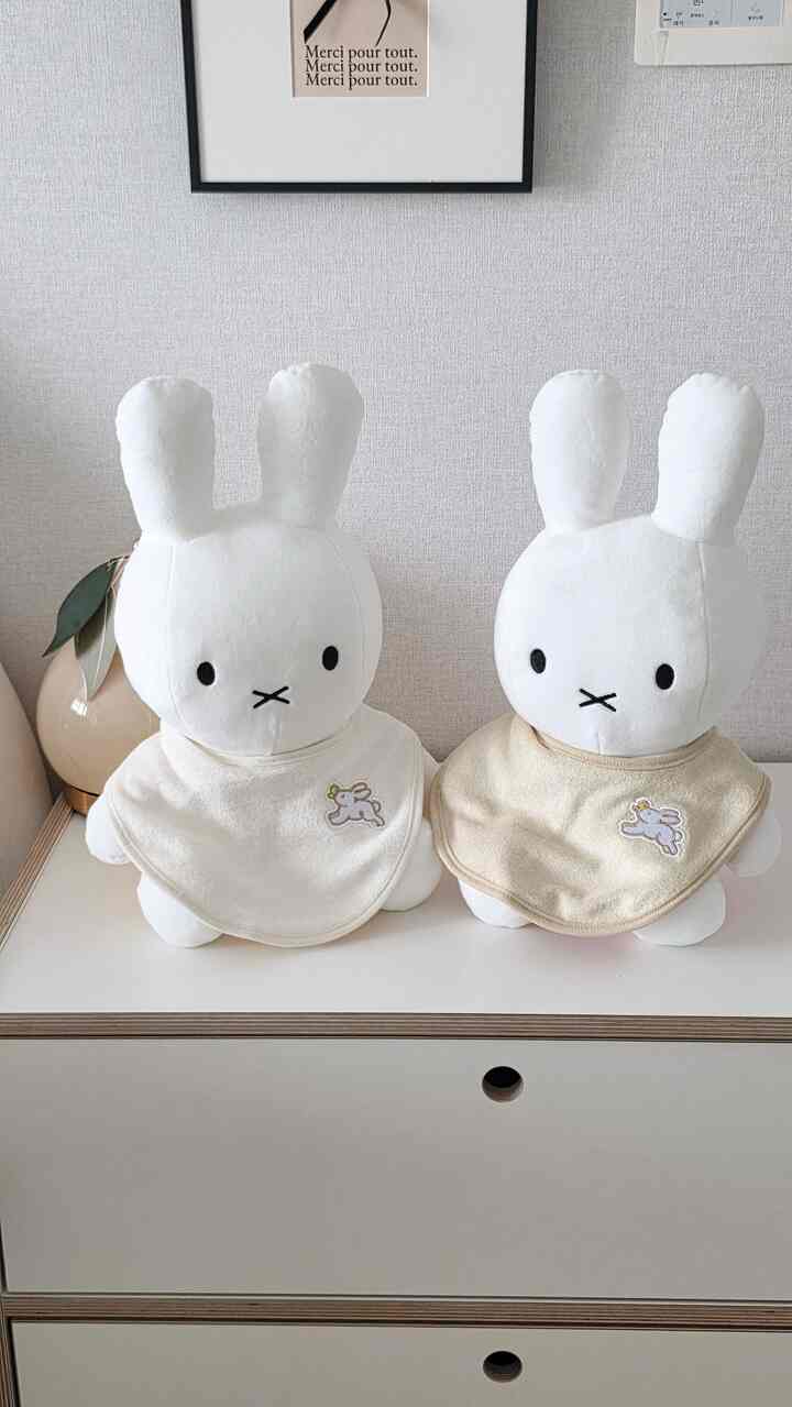 赤ちゃんを飾る準備ができています....🐰🤍
準備だけ3ヶ月目………………

＃コンスープ記録集
＃赤ちゃんの飾り 