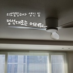 리모델링하다 생긴 일, 두 번째는 실링팬 이야기예요.
지금은 거실에서 잘 돌아가고 있지만, 여기까지 오는 과정이 정석과는 거리가 멀었어요 😂

전셋집에서 나와 입주하기까지 여유가 딱 1주 반이었어요.
그 안에 화장실 전체 리모델링, 조명, 벽지, 줄눈을 다 끝내야 했어요.
주말엔 공사를 못 하니까 일정이 정말 빡빡했어요.
바빠서 리모델링은 한 업체에 통째로 맡기는 턴키 방식으로 진행했어요.