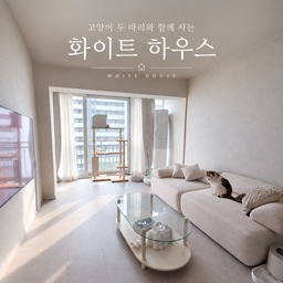 #오늘의우리집 #콘수프기록집
저희 집에는 아줌마와 귀요미, 두 마리의 고양이가 함께 살고 있어요.
닮은 듯하면서도 성격도, 좋아하는 자리도 다른 두 고양이예요.
첫째 아줌마는 높은 곳을 좋아해서 캣타워에 있는 시간이 많고, 둘째 귀요미는 푹신한 소파나 침대에서 쉬는 걸 좋아해요.
집을 꾸밀 때도 고양이들이 편하게 지낼 수 있는 공간을 생각하면서 화이트와 아이보리 컬러를 중심으로 가구를 골랐어요.
오늘은 두 고양이가 가장 좋아하는 자리를 따라 저희 집 거실과 침실을 소개해 볼게요.