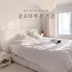#현명한소비 #콘수프기록집 
침구는 매일 피부에 닿는 제품이라 디자인만큼 소재와 관리 편의성도 중요하게 생각해요.

특히 저희 집은 고양이들과 침대를 함께 사용하다 보니 털이 얼마나 잘 떨어지는지, 자주 세탁해도 부담이 없는지까지 꼼꼼하게 살펴보게 되더라고요.

이번에 선택한 건 알러지케어 차렵이불이에요. 기능성 침구 특유의 뻣뻣한 촉감은 싫고, 그렇다고 관리가 어려운 침구도 피하고 싶었어요.

제가 침구에 투자하면서 중요하게 봤던 기준과 직접 사용하며 만족한 부분들을 소개해 볼게요.