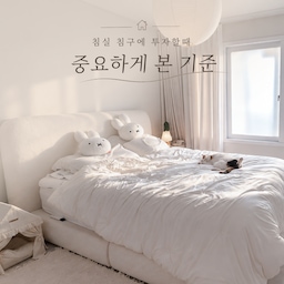 #현명한소비 #콘수프기록집 
침구는 매일 피부에 닿는 제품이라 디자인만큼 소재와 관리 편의성도 중요하게 생각해요.
특히 저희 집은 고양이들과 침대를 함께 사용하다 보니 털이 얼마나 잘 떨어지는지, 자주 세탁해도 부담이 없는지까지 꼼꼼하게 살펴보게 되더라고요.
이번에 선택한 건 알러지케어 차렵이불이에요. 기능성 침구 특유의 뻣뻣한 촉감은 싫고, 그렇다고 관리가 어려운 침구도 피하고 싶었어요.
제가 침구에 투자하면서 중요하게 봤던 기준과 직접 사용하며 만족한 부분들을 소개해 볼게요.