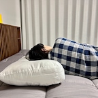 😴남편과 함께 베개 유목민 생활 청산할 수 있을까요? 🤭

푹신하기만 한 베개는 NO!
목은 탄탄하게 받쳐주고, 
머리는 포근하게 감싸주는 
코즈코즈 두부베개 🛏️🤍

✔️ 내 목에 맞게 높낮이 조절 가능
✔️ 포근함과 탄탄함을 동시에!
✔️ 통세탁 가능해서 위생적으로 🫧

두부토퍼까지 함께 사용하니 잠자리가 더 편안해졌어요 💤

이제 우리 부부도 베개 정착해 볼게요! 🥰

#베개유목민 #두부베개 #경추베개추천 #통세탁가능베개 #두부토퍼 #꿀잠템 #베개유목민의선택 #꿀잠베개 #침실용품 #콘수프기록집 #오늘의우리집 