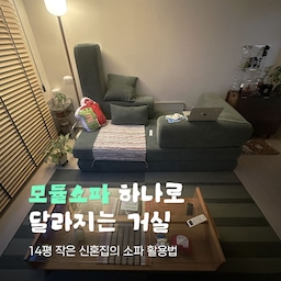 14평 작은 신혼집에서 가장 알차게 쓰고 있는 모듈소파예요. 그동안 배치를 바꿔가며 찍어둔 사진들이 모여 있길래 피드로 정리해봤어요 🛋️
#콘수프기록 #콘수프기록집 #모듈소파 #소파 #소파추천 #모듈소파배치 