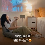 우리 집 강아지도 반한 좌식소파 🐶💚

도톰하고 폭신한 쿠션감부터
내 자세에 맞춰 조절하는 등받이까지 🛋️
좁은 공간에도 쏙 들어가고
하나 더 주문할 만큼 만족스럽다는 후기까지!

실제 구매 고객들이 들려주는
상도가구 모니 좌식소파 이야기를 지금 확인해보세요!💬

#상도가구 #좌식소파 #좌식테이블 #반려견 #반려견과사는집 #소파추천 #좁은방 #아늑 

