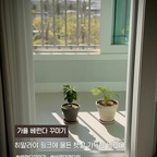 #베란다꾸미기

선선해진 날씨에 베란다 분위기 바꾸기 🤍🌿

그동안 식물이 하나둘 늘어나면서 놓을 공간이 부족했는데, 이번에 바로데코타일로 베란다를 셀프시공해 봤어요.ᐟ.ᐟ

포인트를 주기보다는 깔끔한 느낌으로 완성하고 싶어서 선택한 색상은 히말라야 핑크 🩷

화이트 바탕에 히말라야 솔트처럼 은은한 파스텔 핑크가 조금씩 섞여 있어요ꯁ.

멀리서 보면 깔끔한 화이트 느낌이고, 가까이에서 햇살 아래 보면 은은하게 드러나는 핑크빛이 참 예쁘더라고요 ☀️

시공하고 나서 식물을 놓아봤는데 더 예쁜거 있죠.ᐟ

햇살에 비친 식물 그림자마저 예뻐서 이 공간을 제대로 된 식물존으로 꾸며보고 싶어졌어요 🌱
셀프시공이라 어렵지 않을까 싶었는데 양면테이프로 붙이고 필요한 부분만 잘라주면 돼서 간단해서 누구나 할 수 있답니다 🥰

베란다뿐만 아니라 실내 공간에도 활용할 수 있어요.
세탁실도 시공하려고 미리 청소까지 해뒀는데, 오늘은 흐림날씨 때문에 잠시 보류했어요 😂
세탁실 모습은 다음에 보여드릴게요!

앞으로 식물들로 조금씩 채워질 우리집 베란다 ♥


#바로데코타일 #베란다인테리어 #셀프인테리어 #데코타일 #베란다시공 #셀프시공 #셀프인테리어 #베란다타일 #세탁실타일 #집꾸미기 #바닥타일 #바닥꾸미기 #식물존 #베란다식물 #아스파라거스나누스 #커피나무 #오늘의가든 #초보식집사 #식물인테리어 #맞팔 #히말라야핑크