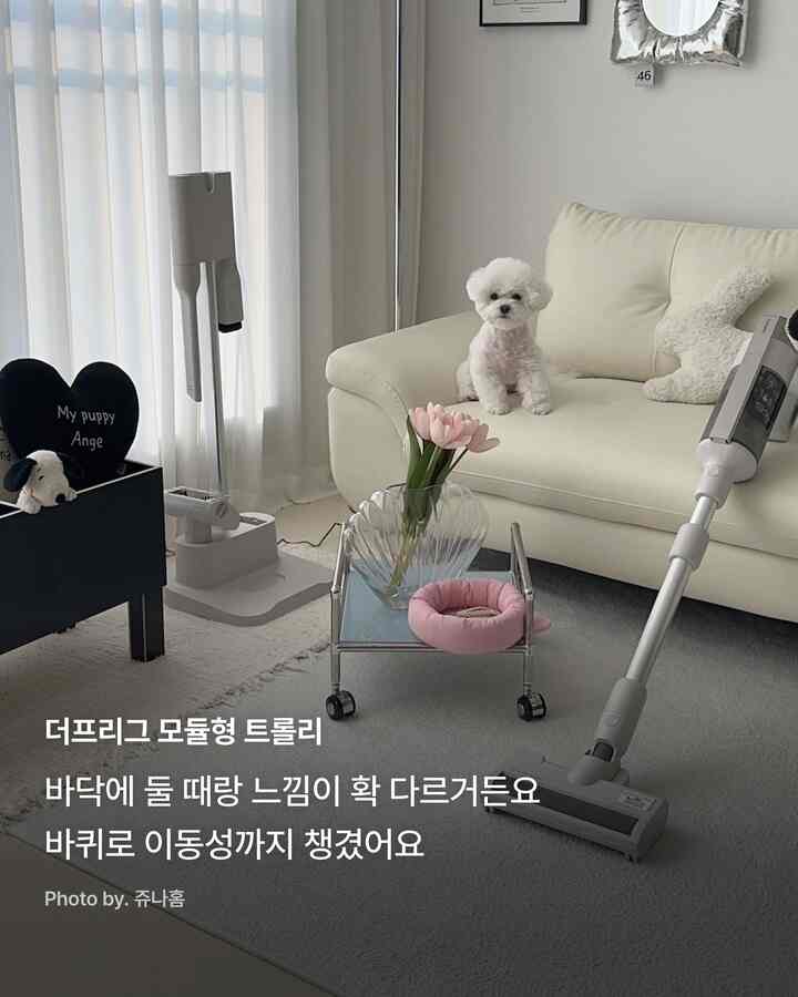 White and cream toned living room featuring a modular trolley, cordless vacuum, cushions, and a small dog in a simple natural setting