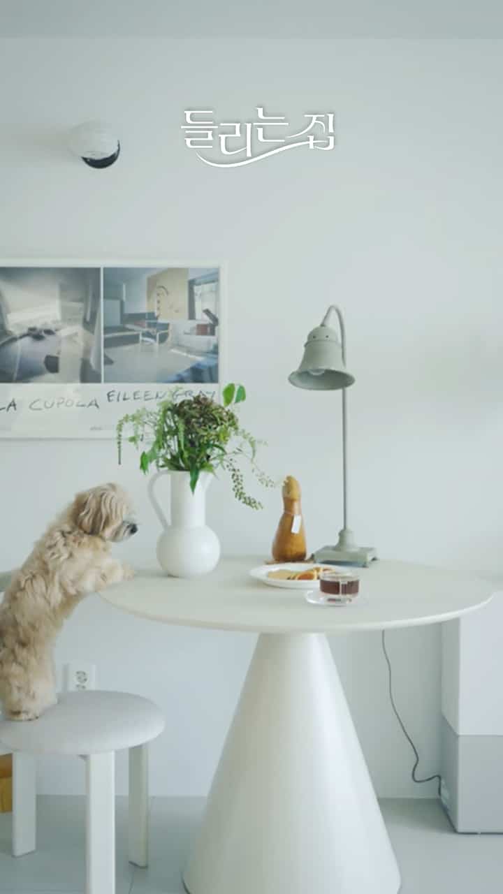 明るいホワイトトーンのホームカフェ空間、小さな犬がスツールに乗っており、花瓶とミニカプセルコーヒーマシンが置かれた雰囲気のあるテーブル