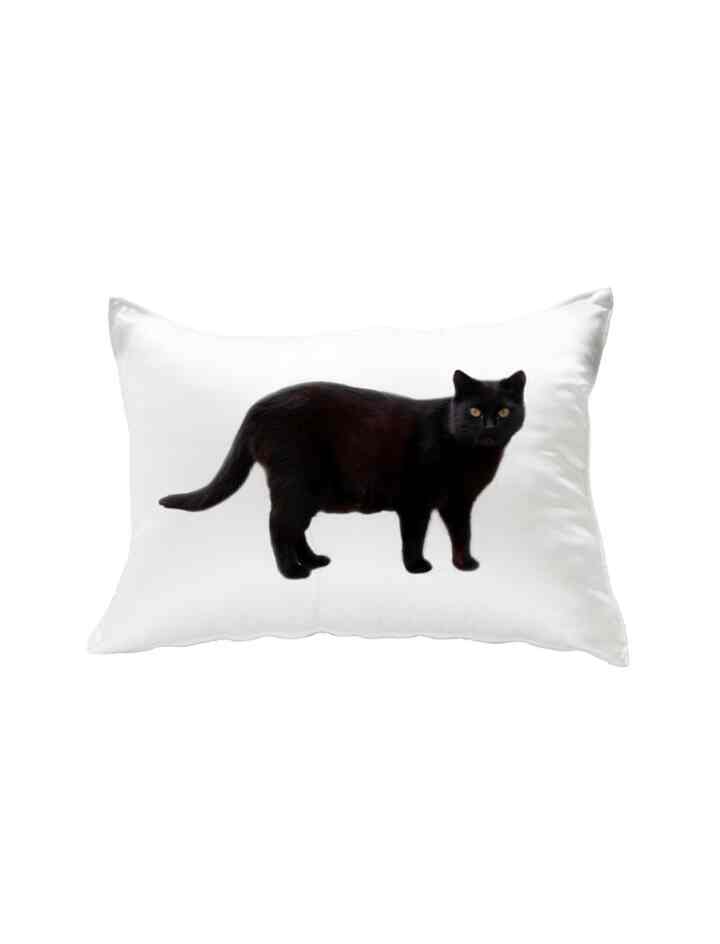 black cat pillow cover