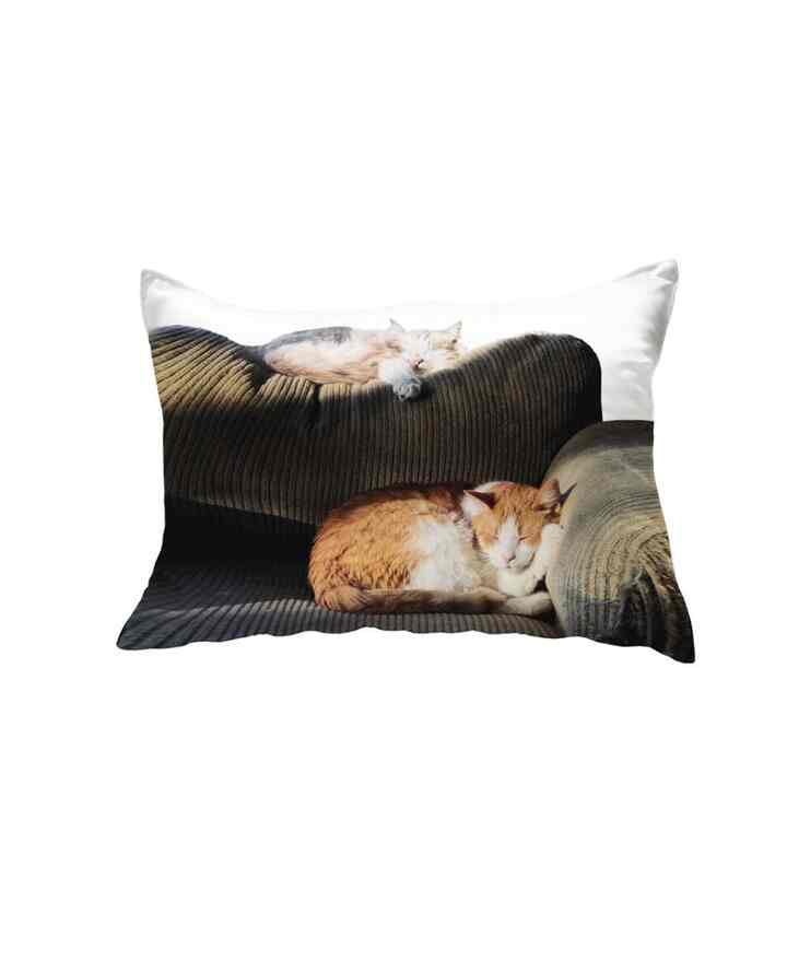 sofa cat pillow cover