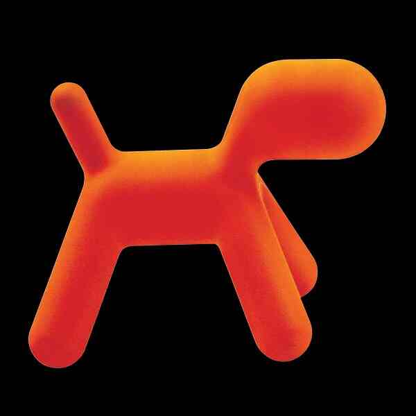 Puppy Orange M ［4サイズ］