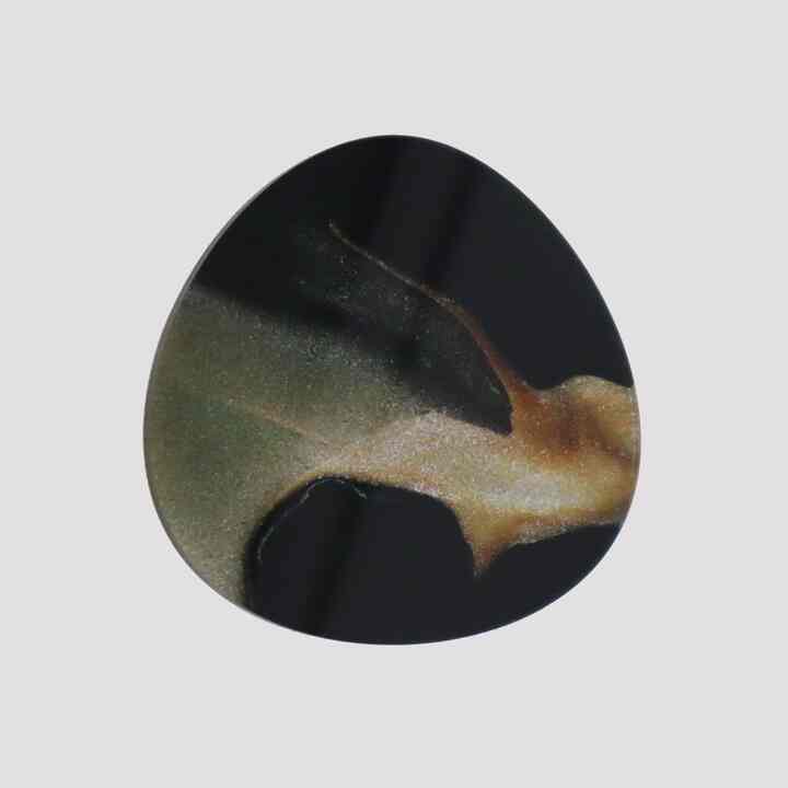 DOBERMANN コースター