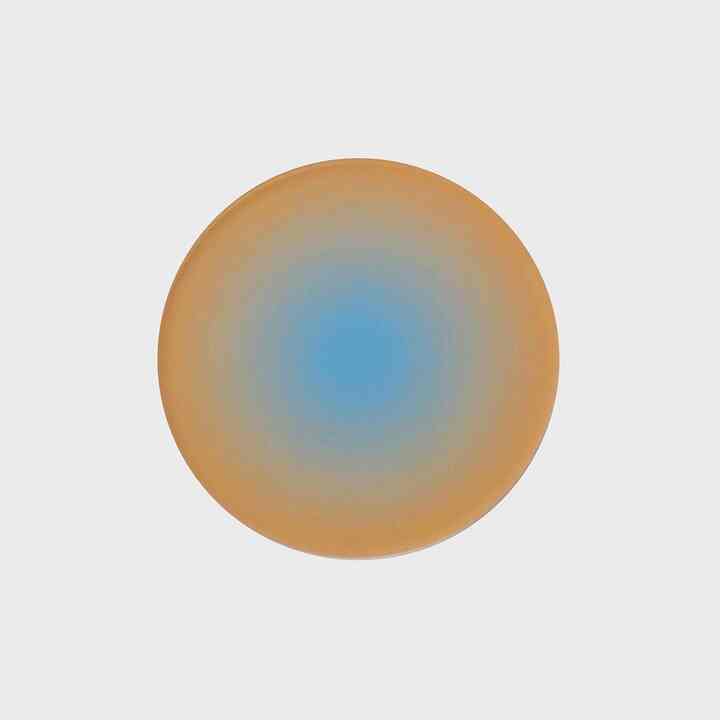 FRUTIY PUDDING (MANDARIN TREE) コースター