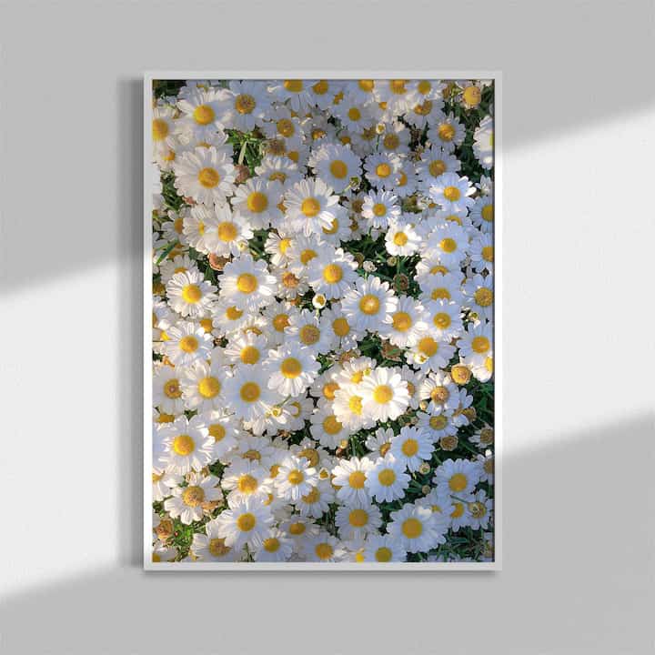 ポスター sunnysideup! #1［3サイズ］