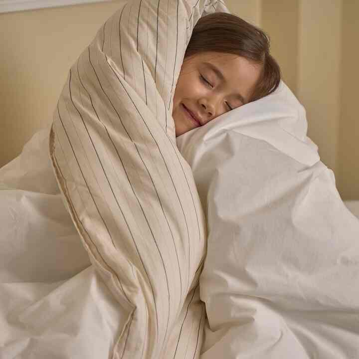 パウダー リバーシブル ストライプ 掛け布団［4色・2サイズ］