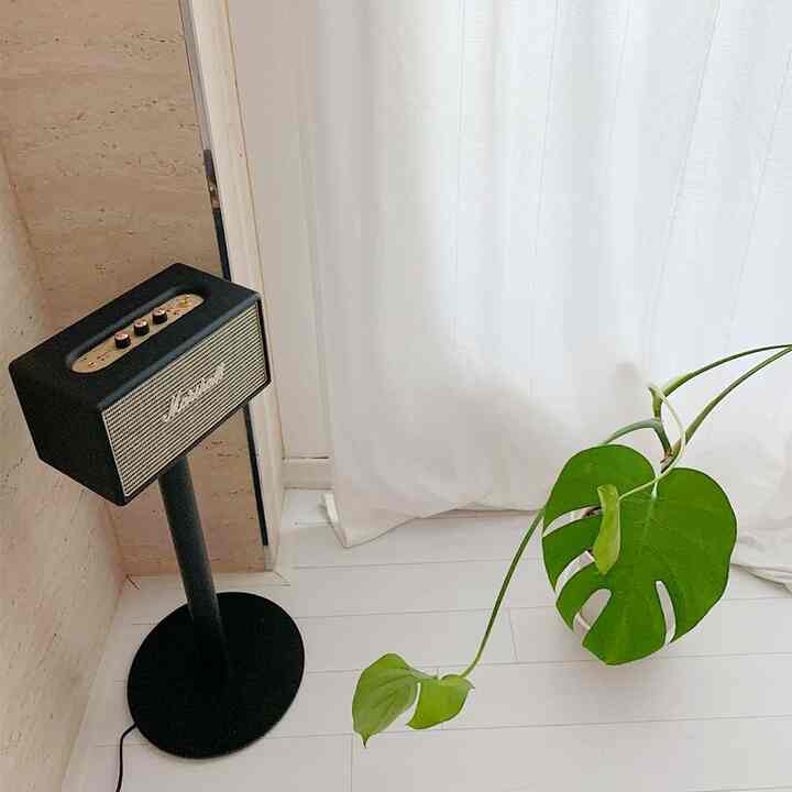 Marshall Acton スピーカースタンド 高級タイプ［4色］