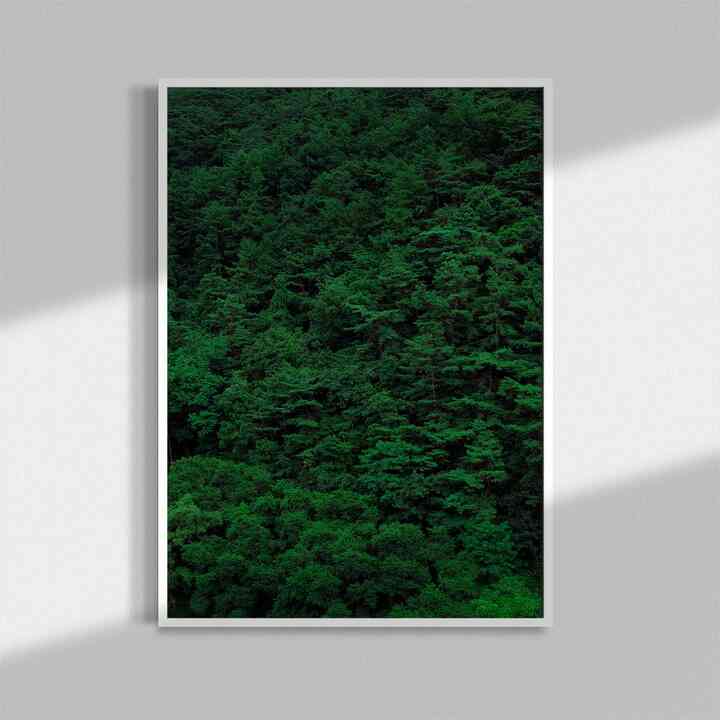 ポスター forest［3サイズ］